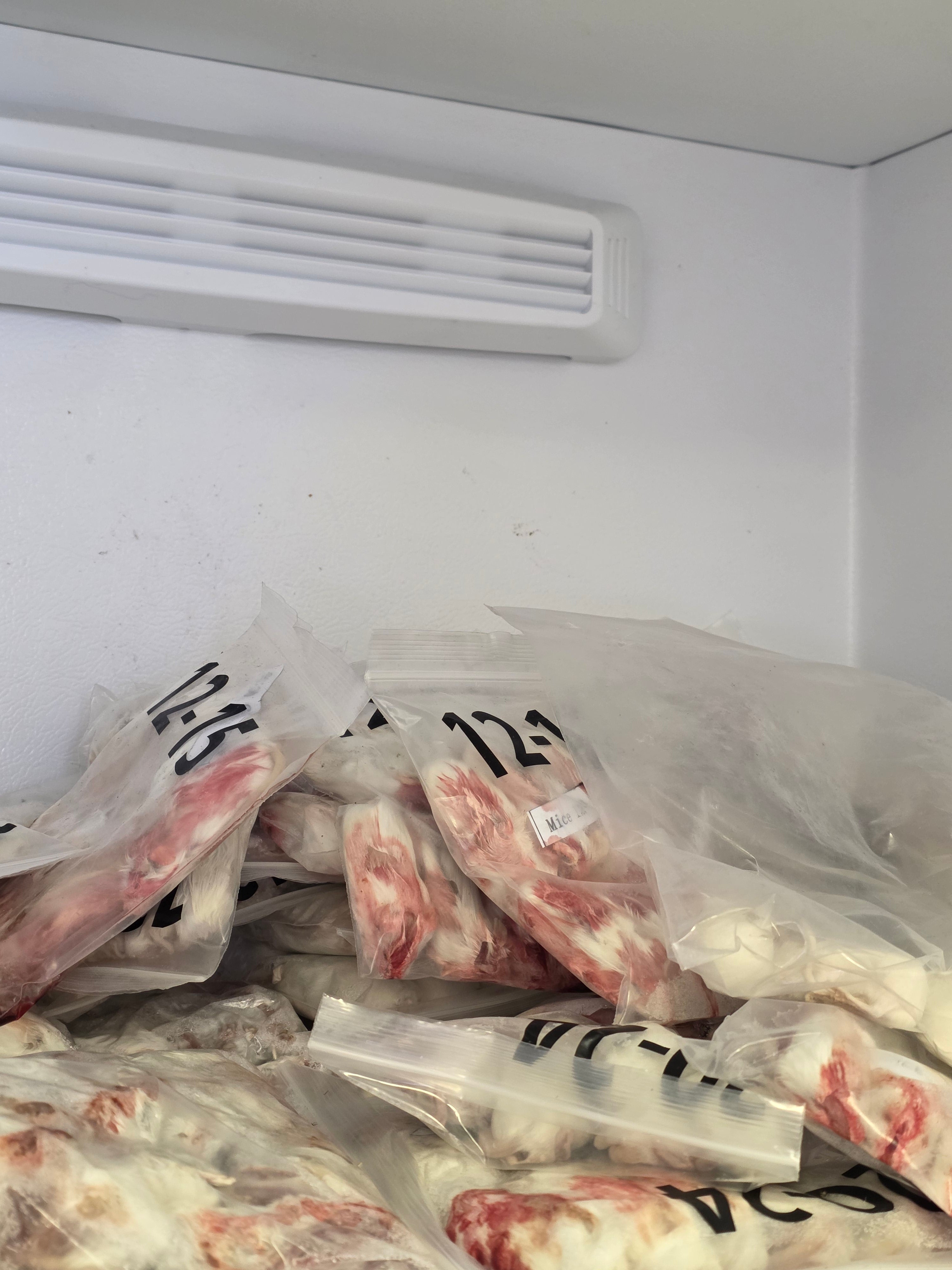 Frozen Feeds