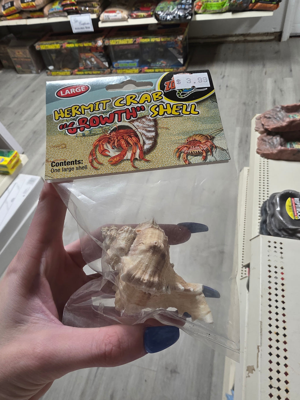 Hermit Crab Growth Shell LG