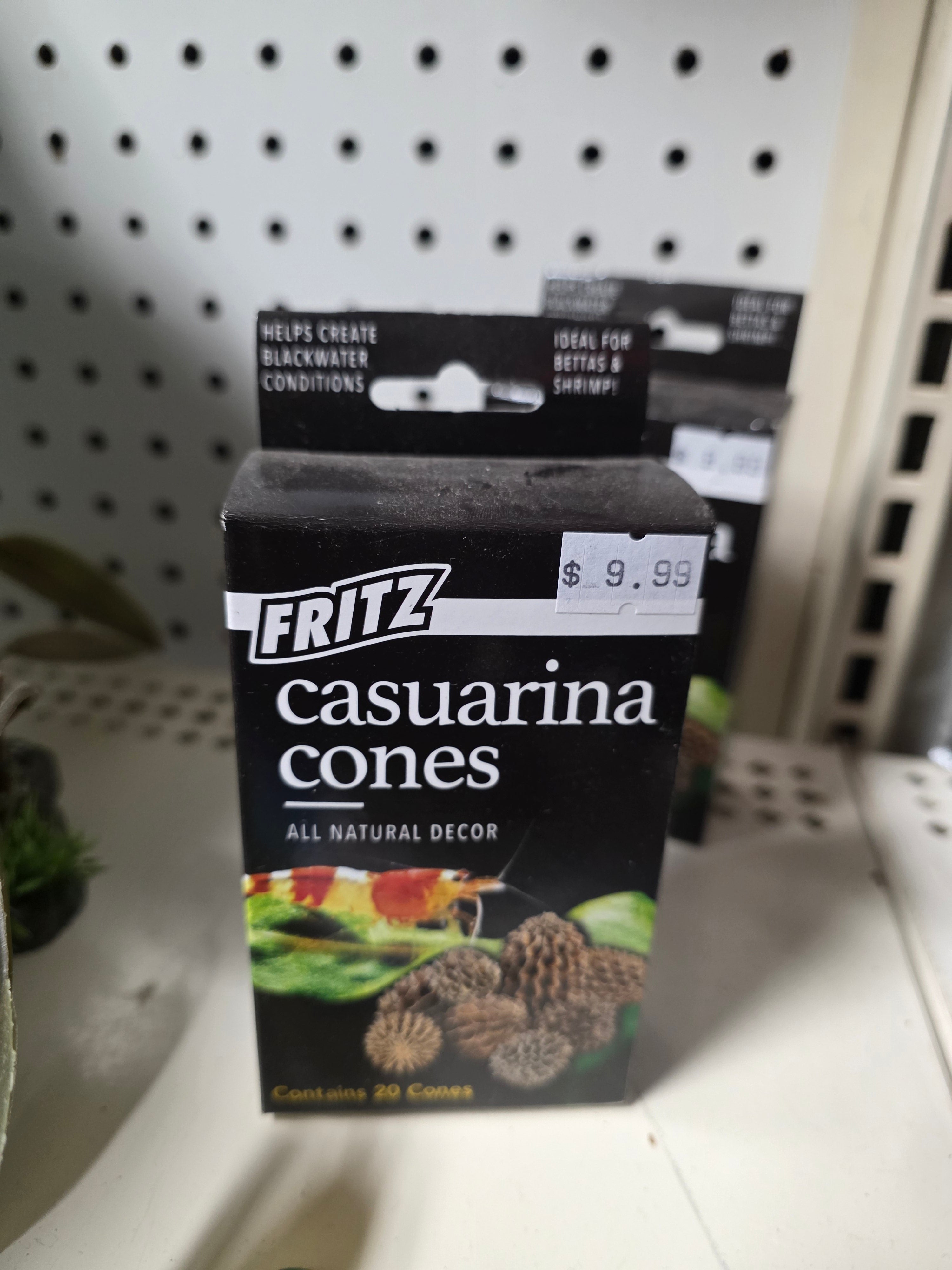 Fritz Casuarina Cones 20pk