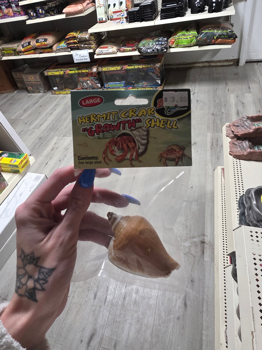 Hermit Crab Growth Shell LG