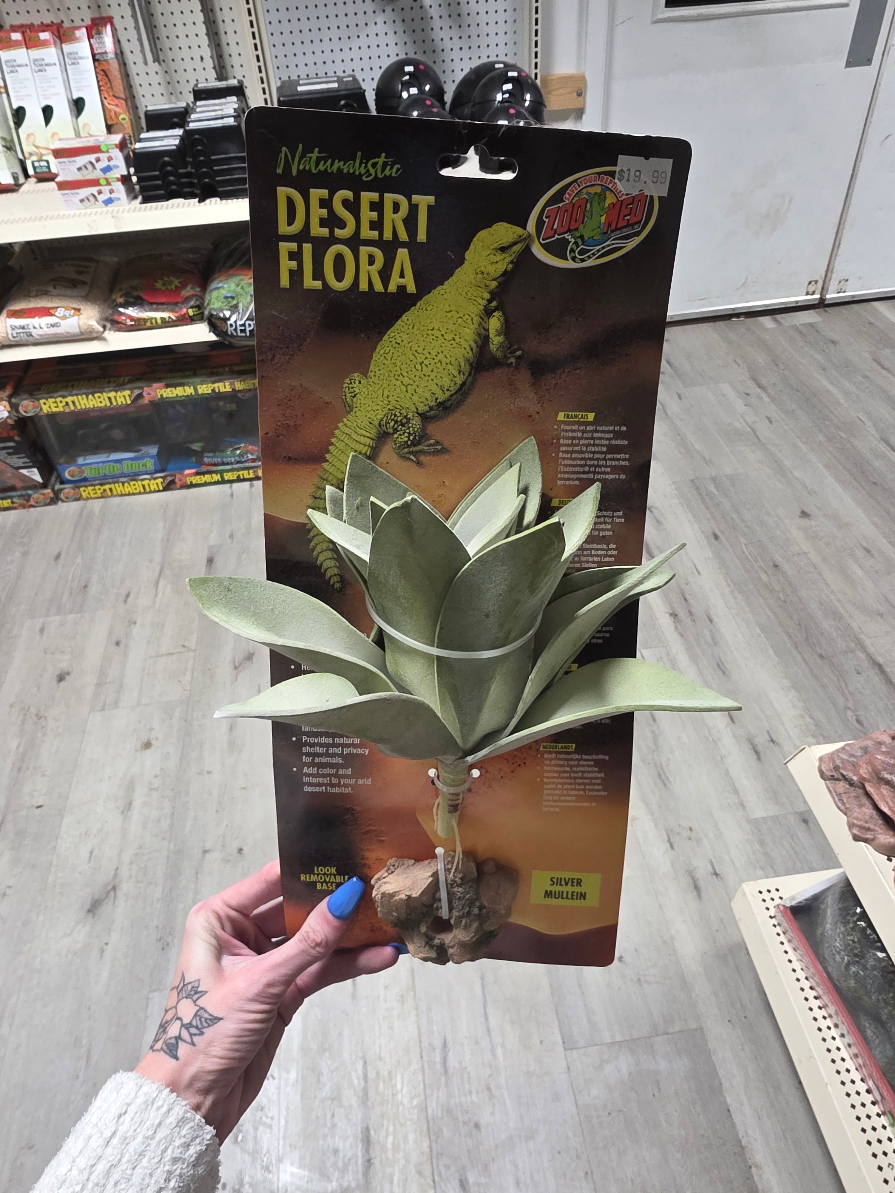 ZOO MED Naturalistic Desert Flora - Silver Mullein