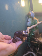 Load image into Gallery viewer, Snoop Frog 'Dumpy Tree Frog'
