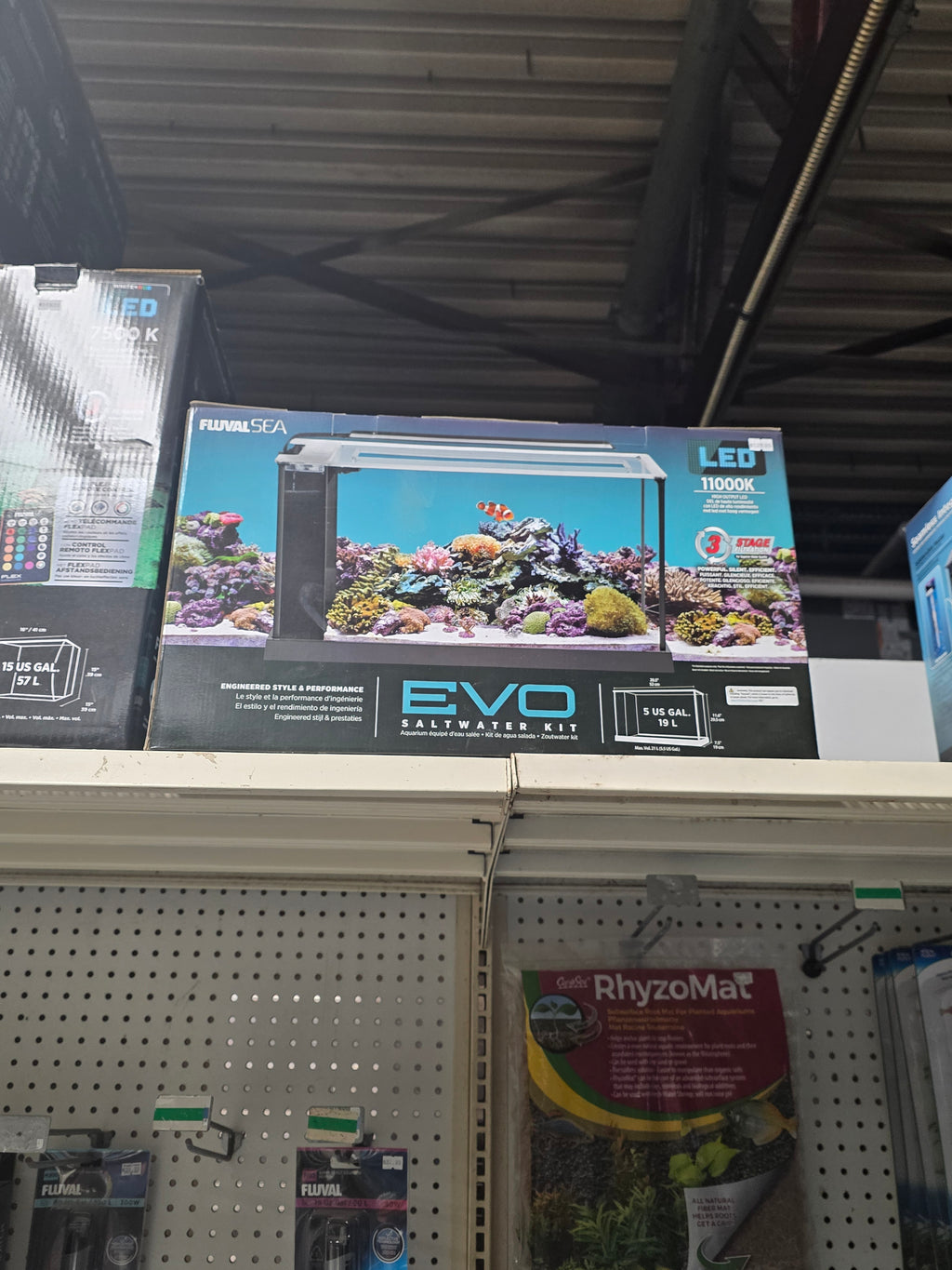 Fluval Sea EVO XII 13.5 gallon Aquarium Kit