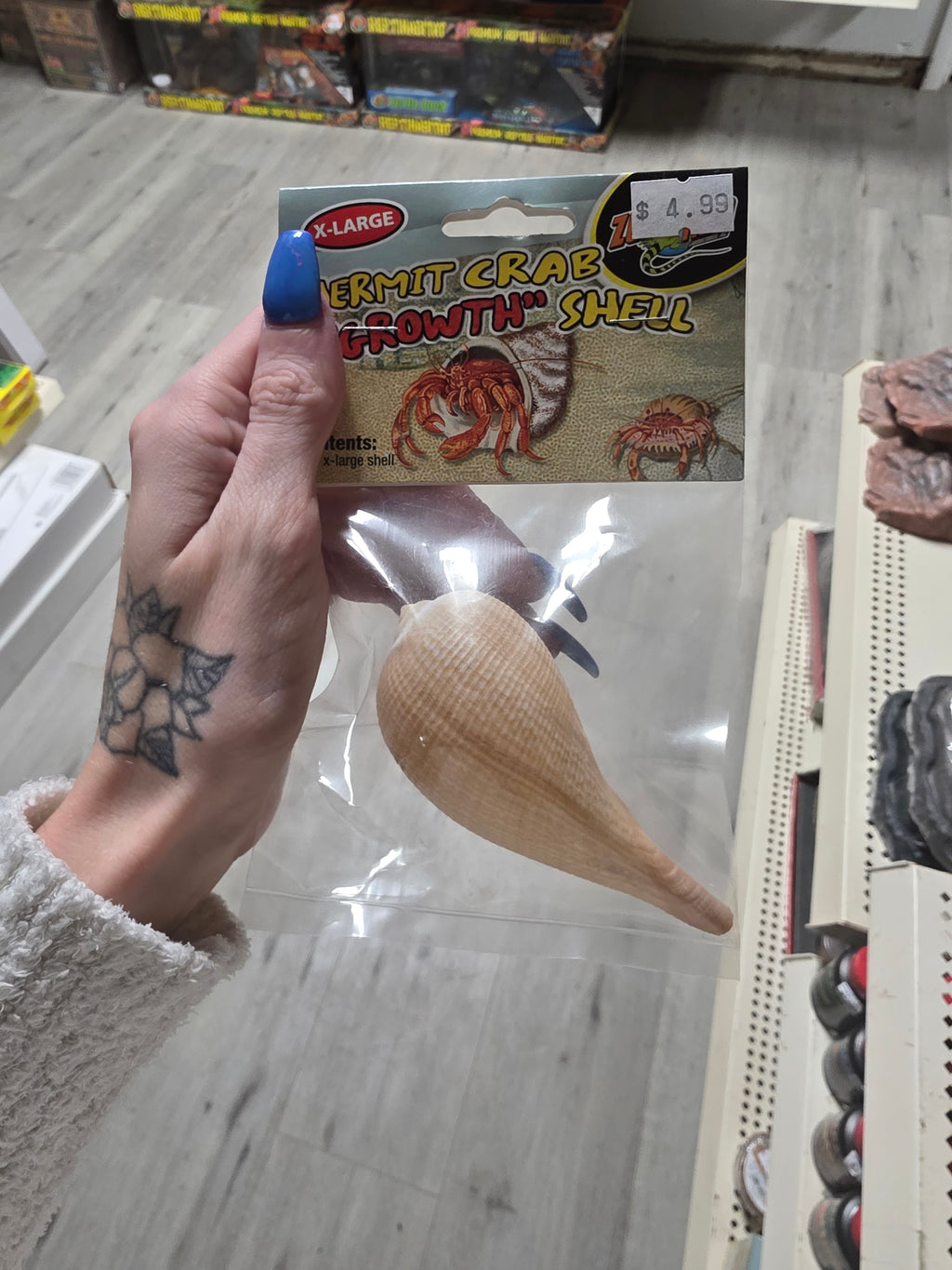 Hermit Crab Growth Shell XLG
