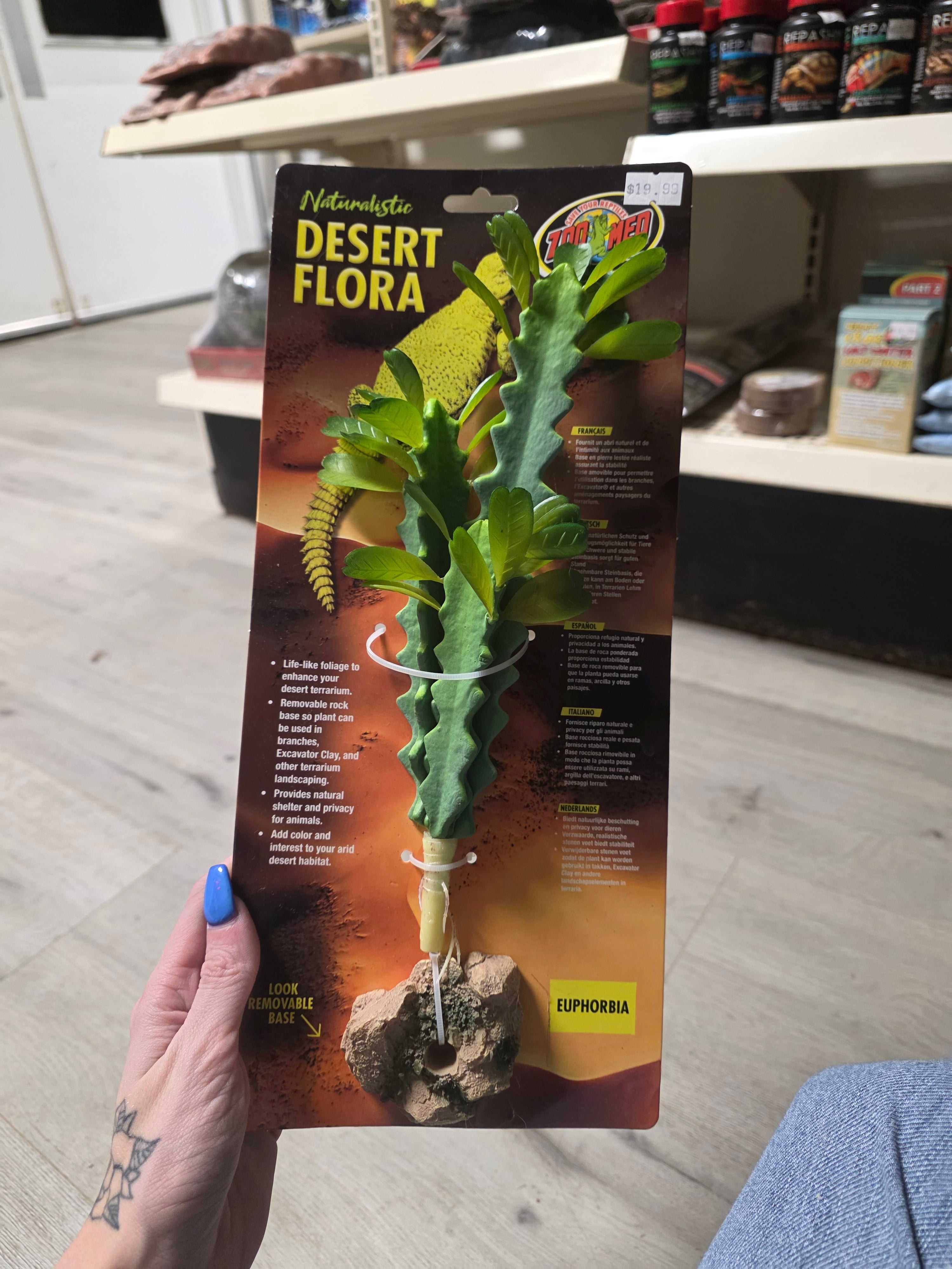 ZOO MED Naturalistic Desert Flora - Euphorbia