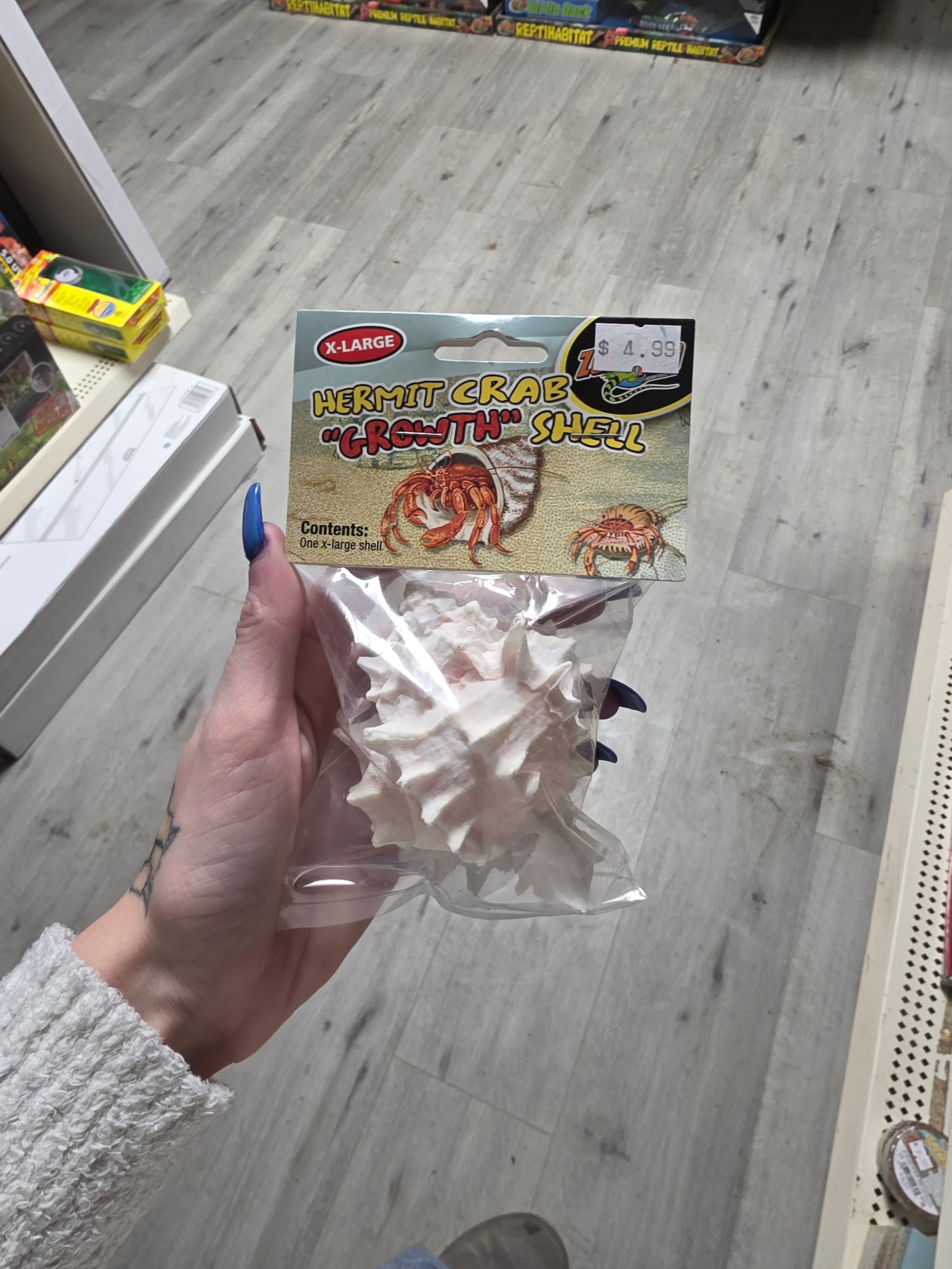Hermit Crab Growth Shell XLG