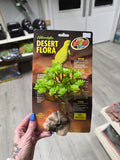 ZOO MED Naturalistic Desert Flora - Tree Houseleek