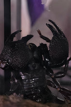 Load image into Gallery viewer, Emperor Scorpion

