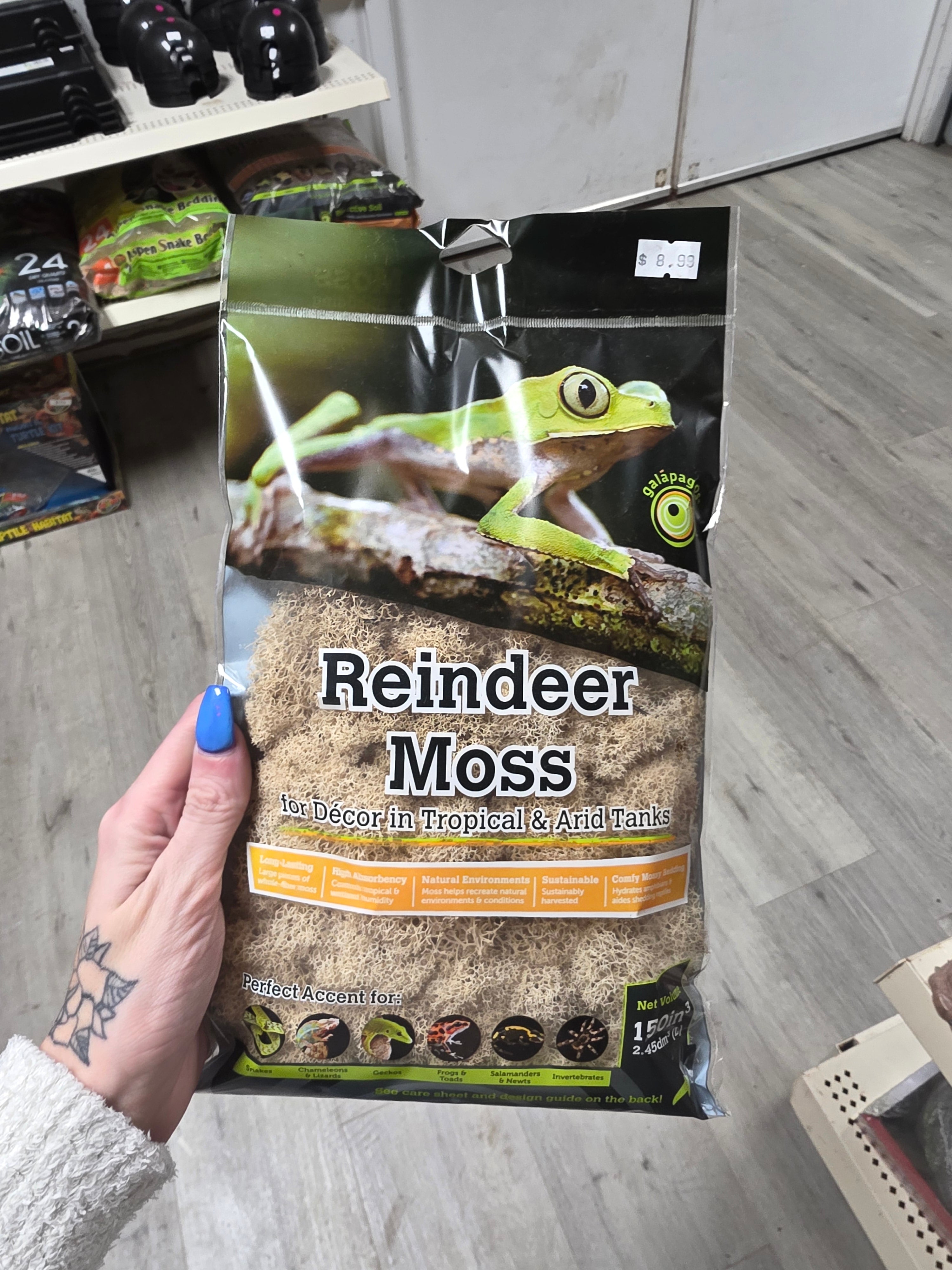 Galapagos Reindeer Moss 150 in