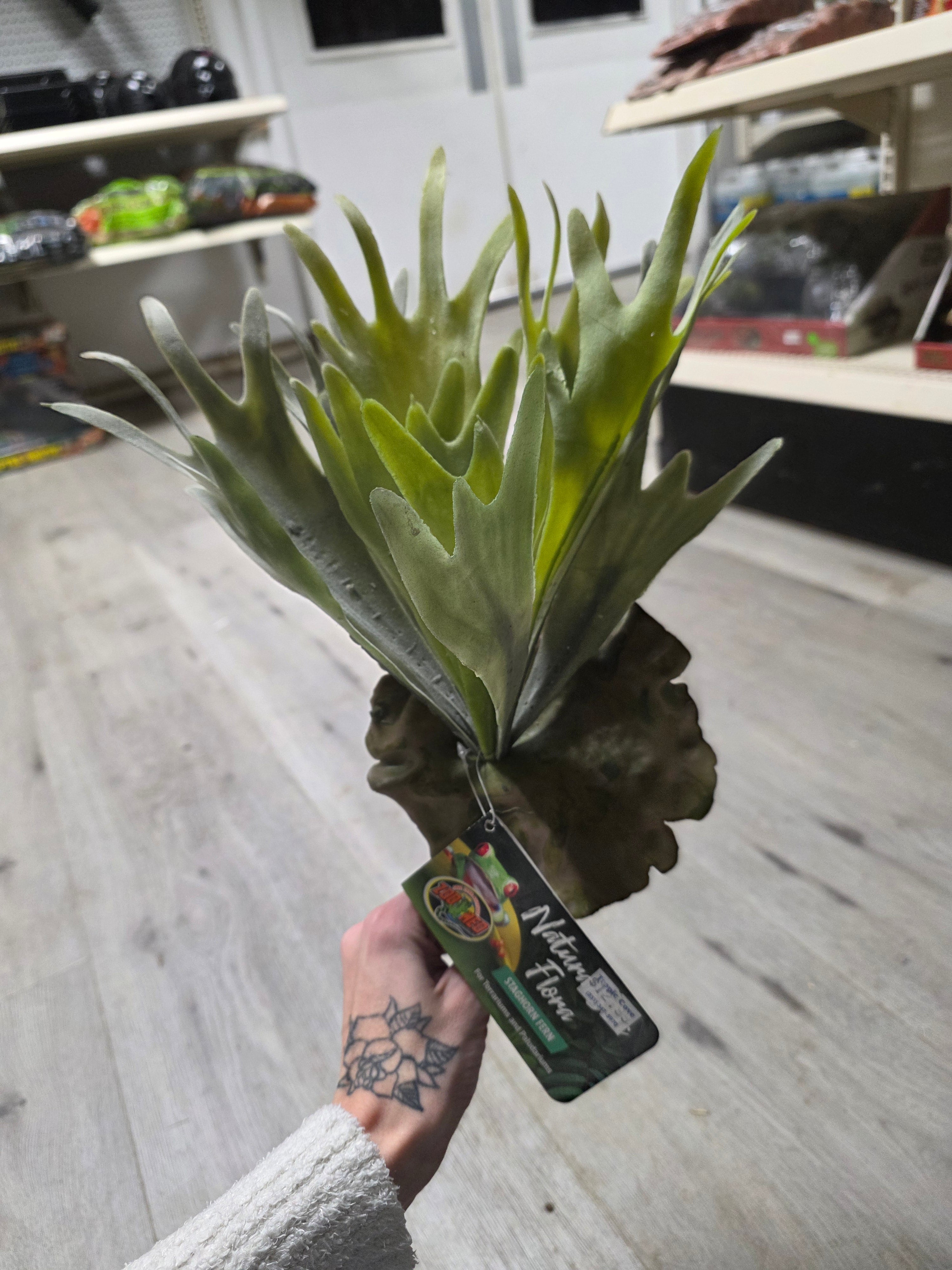 Naturalistic Flora Staghorn Fern 12"