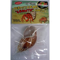 Hermit Crab Growth Shell LG