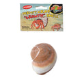 Hermit Crab Growth Shell XLG